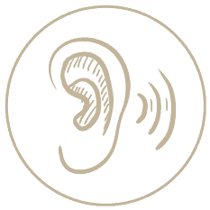 Mayfield Medical Connection Audiology image. Drawing of an ear. Medical Centre, Newcastle Doctors, GP Newcastle.